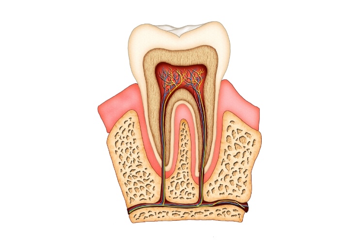 Woman receiving tooth canal therapy